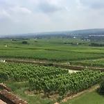 Jagdschloss Niederwald 4*