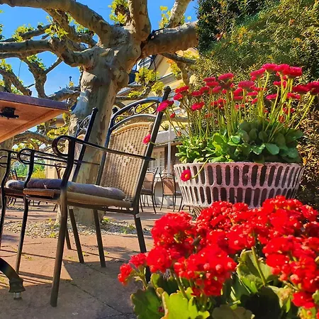 Jagdschloss Niederwald Hotel 4*