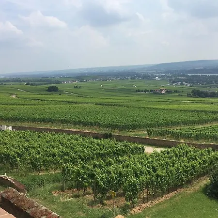 Jagdschloss Niederwald 4*