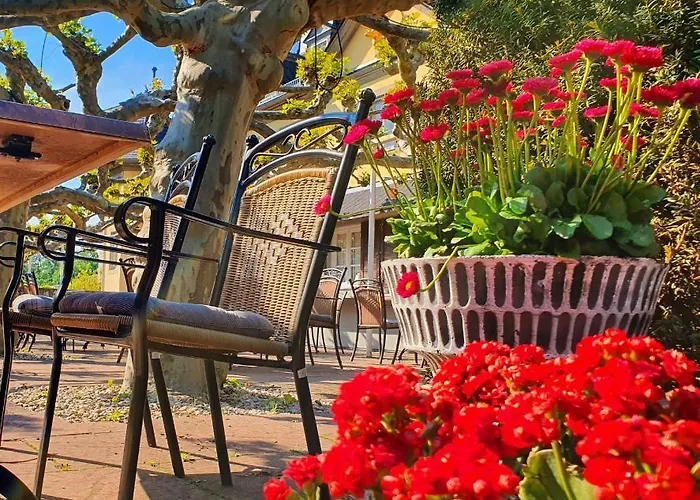 Jagdschloss Niederwald Hotell 4*