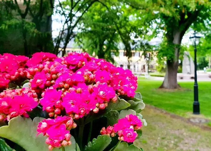 Hotel Jagdschloss Niederwald