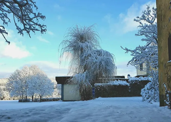 Jagdschloss Niederwald 4* Ruedesheim am Rhein